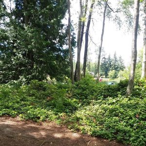 Meet your Posher, Billie